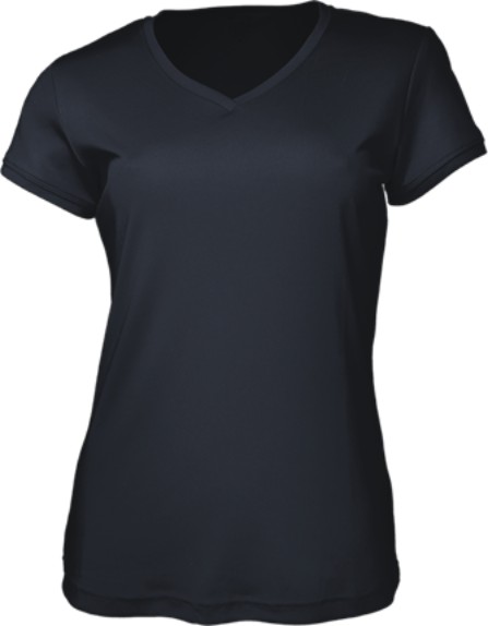 Ladies Brushed V-Neck T-Shirt