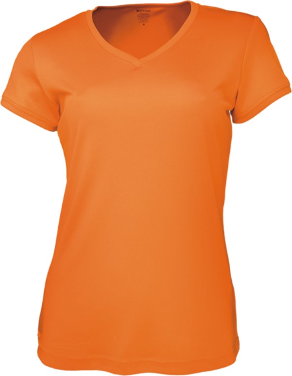 Ladies Brushed V-Neck T-Shirt