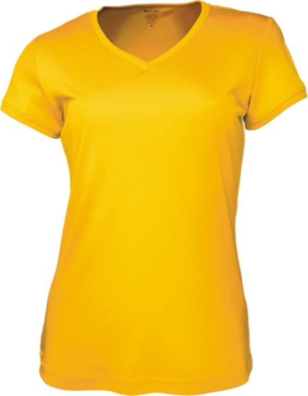 Ladies Brushed V-Neck T-Shirt