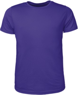 Mens Brushed T-Shirt