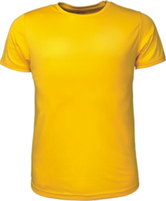 Mens Brushed T-Shirt